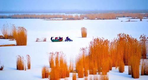 组图:游客在宁夏沙湖景区欣赏雪景