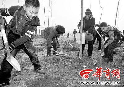 植树节一起播种希望(图)