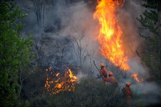 山西森林火灾尚未得到控制 当地3000人扑救(图
