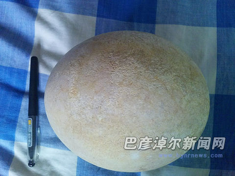 ���񵰻�ʯ(����ͼƬ)