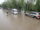 ������ͨԷ������վ��ǰ��ˮ ��������ê(ͼ)