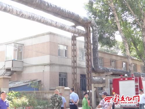 �Ż�ص���߹�ͼ