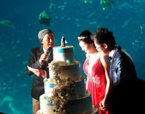 包海洋馆办婚宴 新加坡华人大亨斥巨资娶媳妇