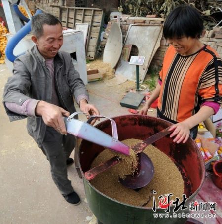 秋播时节隆尧县为农民提供拌种备播服务(图)