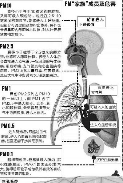 PM2.5Σ��ʾ��ͼ