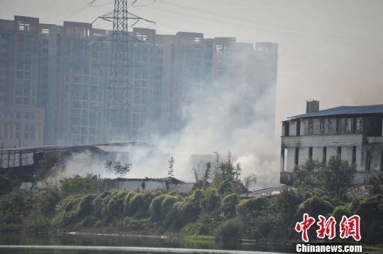 广州海珠区一仓库起火，起火两个小时后，现场明火已灭，有白烟。 梁永强 摄