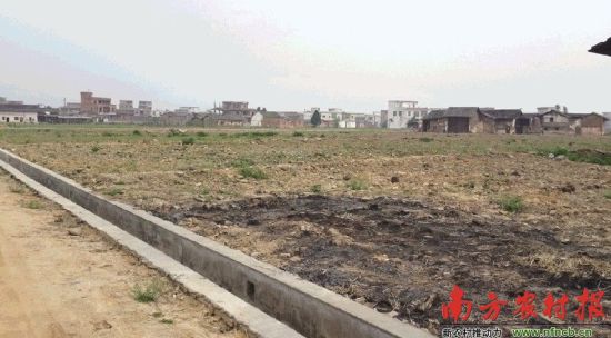 广东南雄7成村庄成空心村 拆旧建新遭阻力(图