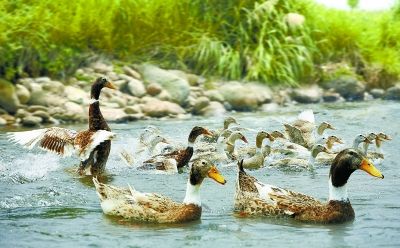 图片新闻_新浪新闻