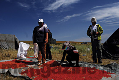 旅游特辑:新疆鲜花之旅