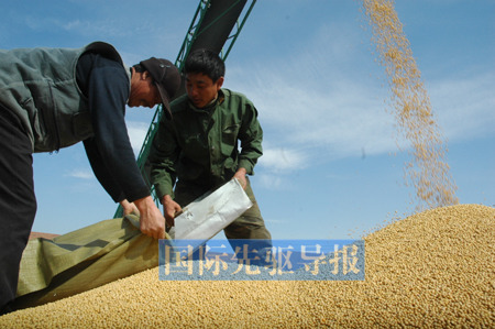 黑龙江拟保护国内最后一块非转基因大豆净土