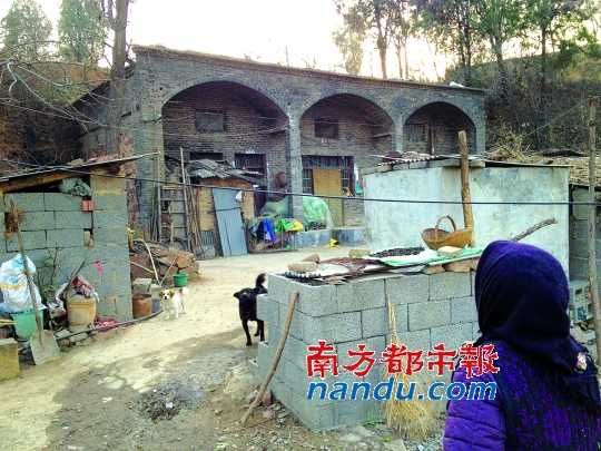 �ط�ͷĿ����ΰƶ���ļҡ� �϶�������������
