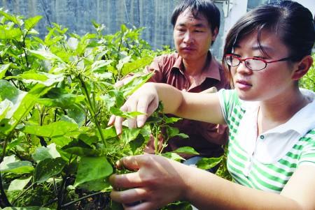 大学生的“村官”生活