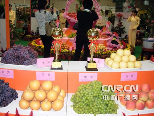 顺义第六届农博会暨第四届旅游文化节开幕