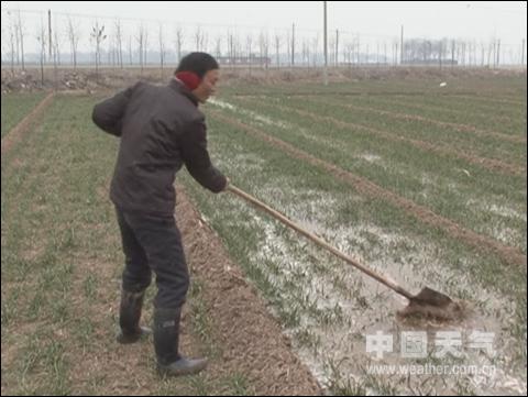 专家解析北方气象干旱对冬麦区的影响_天气预