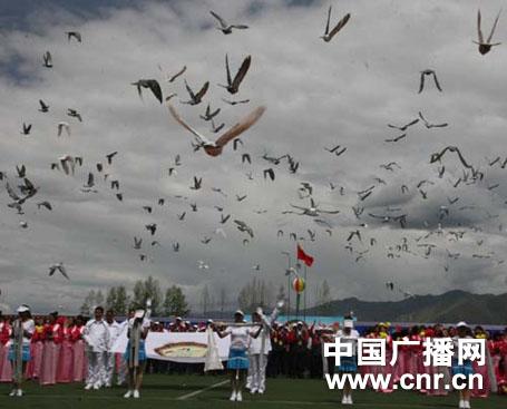 西藏自治区第十届运动会今日在拉萨开幕