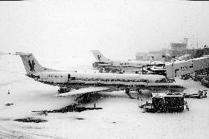 美国暴雪 千余航班停飞 四个州进入紧急状态 纽