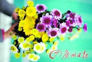 ��̼�����ʱ���ʻ�����������