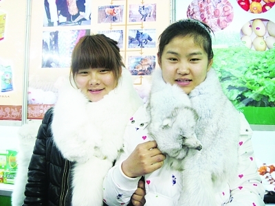 ������ϡ����ꡱ��������