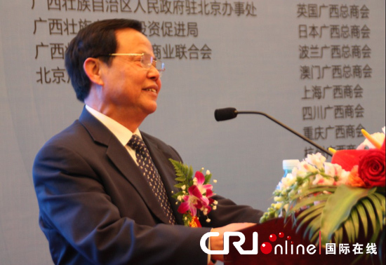 全国人大民族事务委员会副主任委员原广西区政府主席陆兵致辞