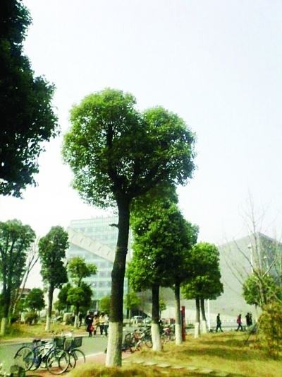 �ϴ���á���������������ȥ����