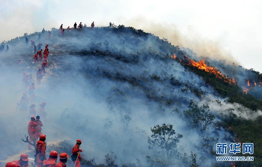 山火复燃原因分析 澳洲蝗灾卷土重来