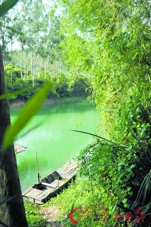 ̽�ظ�������Ȯ������ɽ��