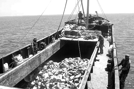 �ƺ�����ǹ�Ǵ������������Һ��ബ��ʱ��ֹ