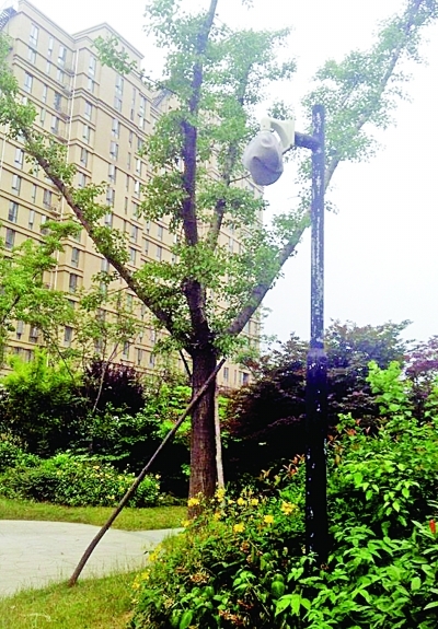 С��һҹ5�������ң��������û��