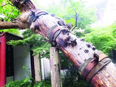 ��˵�����ƹ��ۣ�