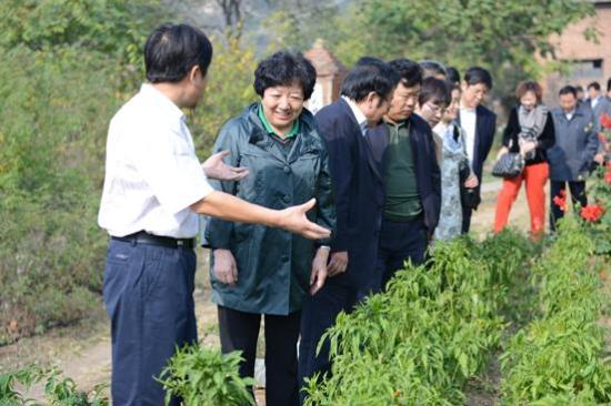 ������������ϯ���ſ����������ũ��