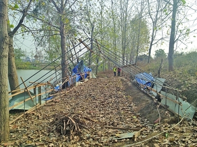 Υ�����ᱻ��ǧֻĸ������������ԭ�Ǽٻ�ֻ����Ҫ����(ͼ)