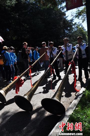 ����조�����š���Ա����ʯ������������