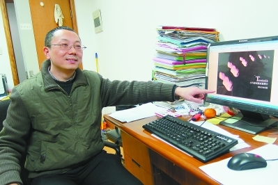 紫台专家揭秘嫦娥二号与小行星战神擦肩而过