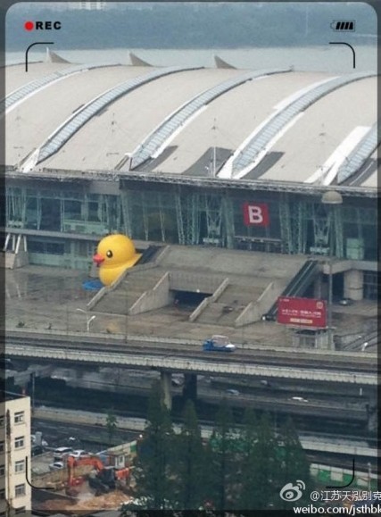大黄鸭漂洋过海到南京 周末现身国展中心