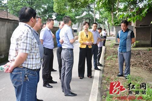 湘潭市雨湖区委书记刘永珍调研鹤岭工业园