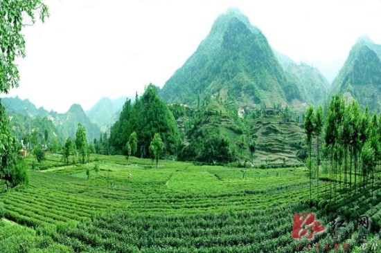 吉首市退耕还林工程通过国检