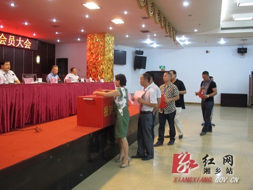 湖南省铁合金行业协会在湘乡成立:32家企业抱