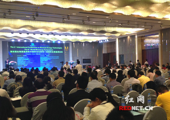 大力发展生物质能源成当务之急湖南优势显著