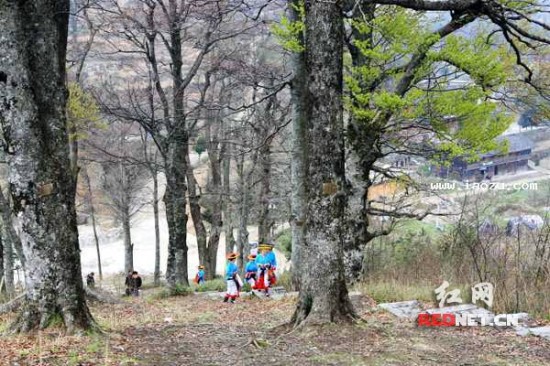 隆回崇木凼村居湖南"最美少数民族特色村寨"票选三甲