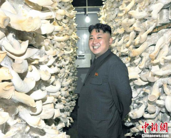 国际要闻精粹:法击毙三恐袭嫌犯韩火灾百人伤亡