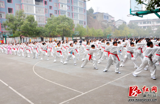 麻阳召开中小学教育教学表彰暨交流会