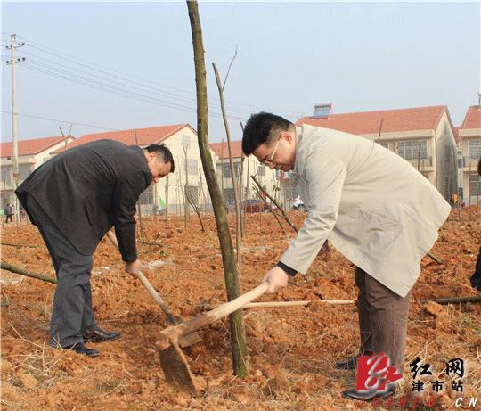 津市五大家领导带头植树倡导两城共创建
