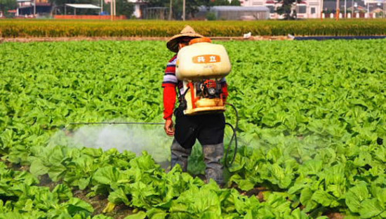 中国农业部促农民用有机肥以对抗土壤水体污染