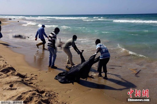 美媒:400名难民在地中海船难中丧生 少年男孩