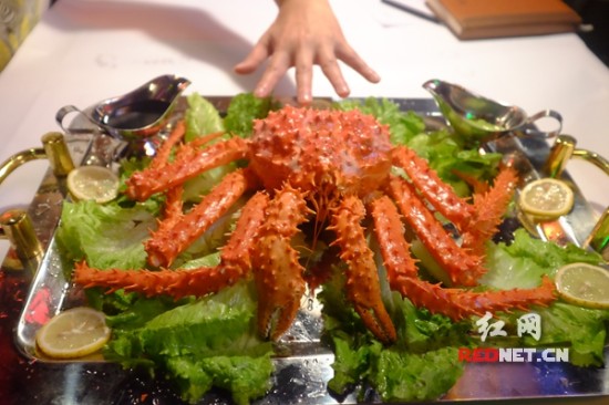 【探店】爆料现场:青年节实惠吃阿拉斯加帝王蟹