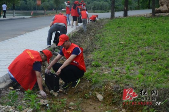石门县100名入党积极分子到夹山进行志愿服务