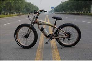 追风鸟亮相中国上海国际自行车展览会