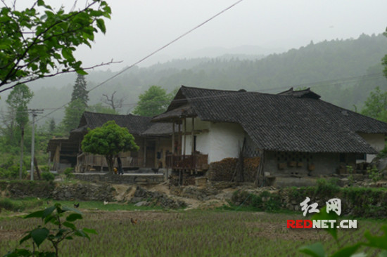 【最美村寨】长梯隘村：闪耀在湘北的绿宝石