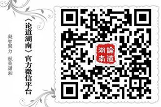 关于湖南税务信息化建设模式探析的毕业论文提纲范文