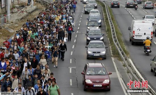 当地时间9月6日，难民们在匈牙利高速路上行走，尔空尔移一度导致匈牙利首都交通瘫痪。移民<strong></strong>